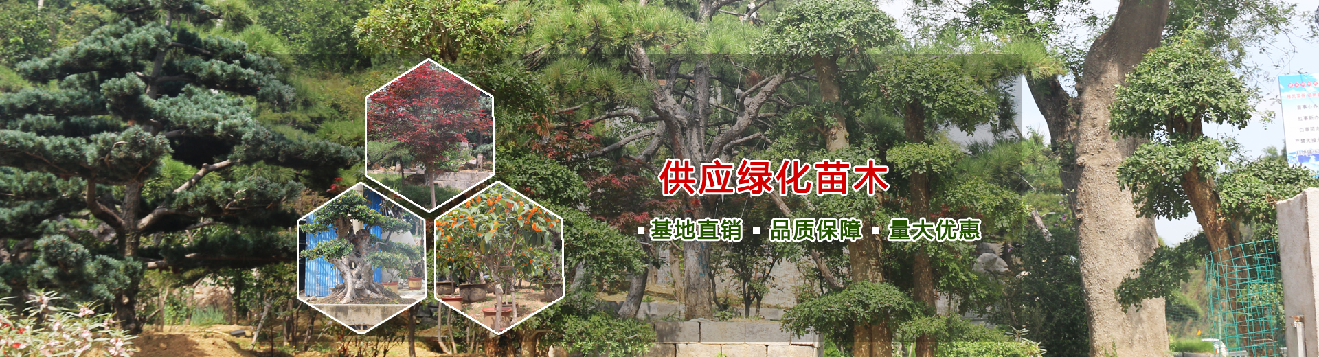 山東泰安億美達(dá)能源科技有限公司